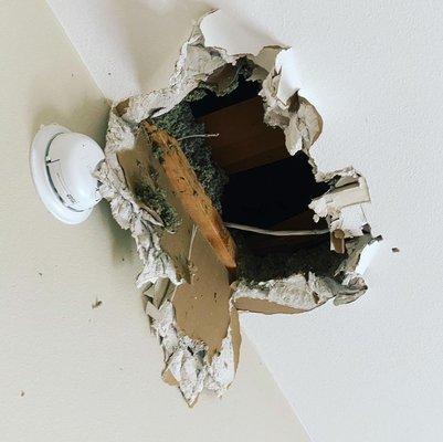 Drywall repair