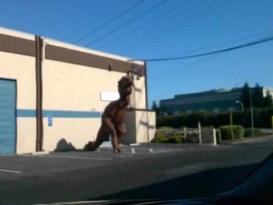 look for this t-rex on laurelwood...only one side  of the street is the business side..!