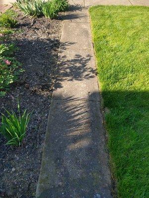 Power washing sidewalk