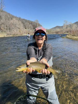 German Brown trout