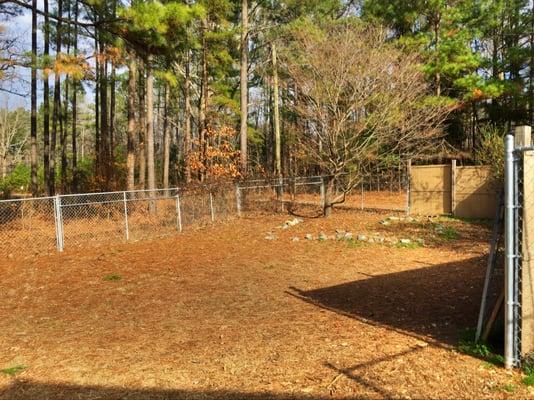 One of five large, enclosed yards for dogs to exercise, relax, play, enjoy the sun, and socialize with one another.