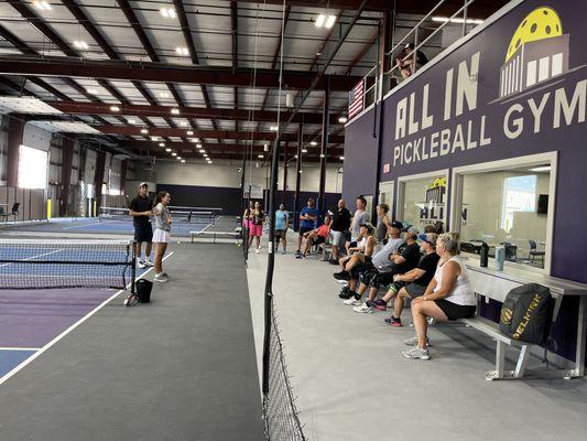 Indoor pickleball courts. Professional surface.