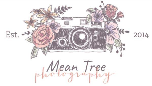 Mean Tree Photography