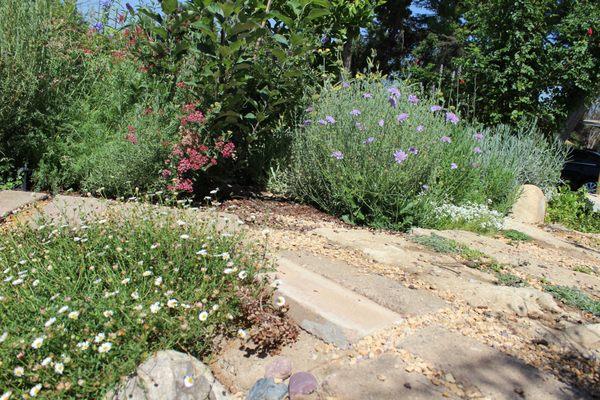 A walk way to share with butterflies, hummingbird moths & dragon flies...color, texture, fragrance...life!