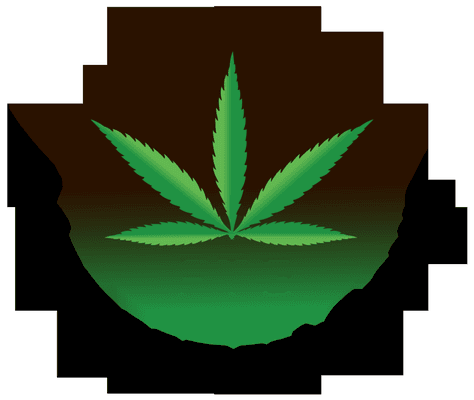 Cannabis Business Management