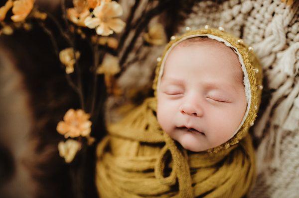 Newborn Photography