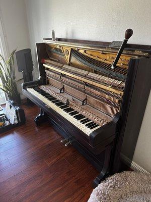 Precise Piano Tuning & Repair