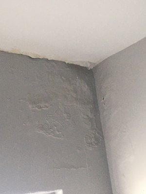 Mold on staircase (Illegal in NYC)