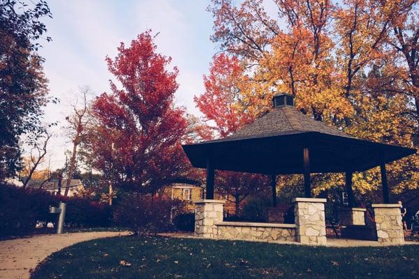 A beautiful, autumn Walker Park in #Kirkwood.