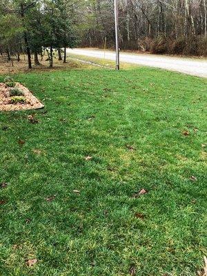 Lawn still looking green in January 2020 middle of winter. 2 year customer