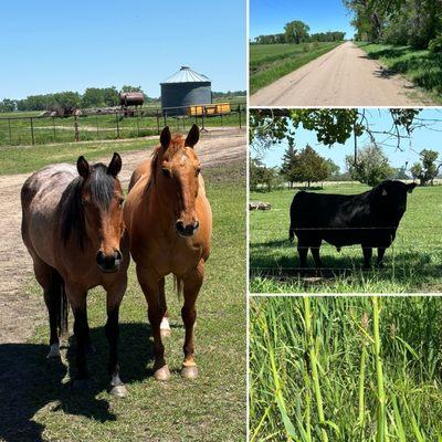 Family ranch. Perfect!!!