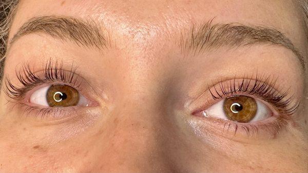 10/10 lash lift & tint!