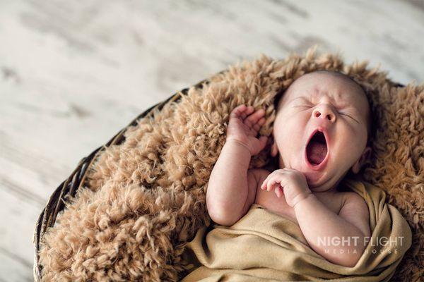 Newborn Photography available. I travel to your home or in a studio.