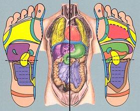 30 or 60 min. Reflexology Sessions