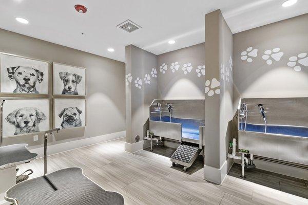 Pet Spa with a professional grooming equipment and dog-themed wall art at Lantower Weston Corners.