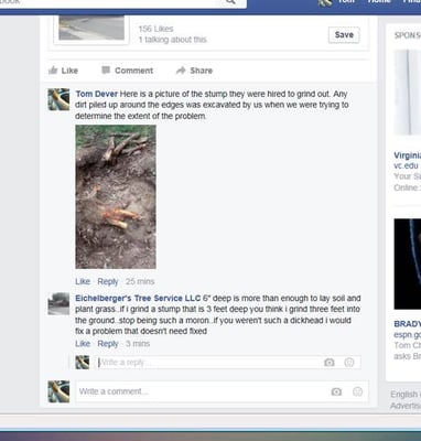 Reaction of Eichelberger's Tree Service on Facebook to a negative review.