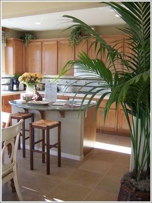 Model Home Kitchen