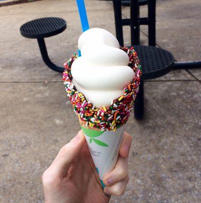 Sprinkle waffle cone with cheesecake frozen yogurt