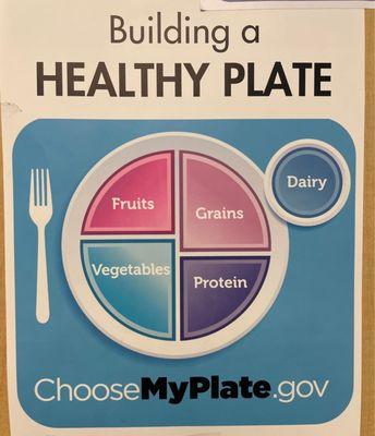 Healthy plate, Dr Cronin's office, North Pinellas Children's Medical Center - Westchase, Suite 305 3rd Floor, West Tampa