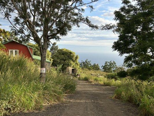 KULA HERBS est'd 1996 is an Hawaiian favorite.. moving off grid to Ulupalakua.. just a mile past Maui Winery.. come shop and enjoy our view