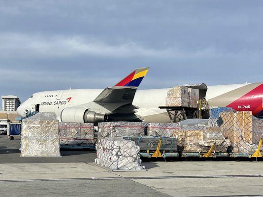 Asiana Cargo