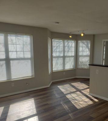 One bedroom living and dining area