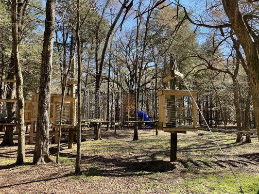 Out on a limb play area