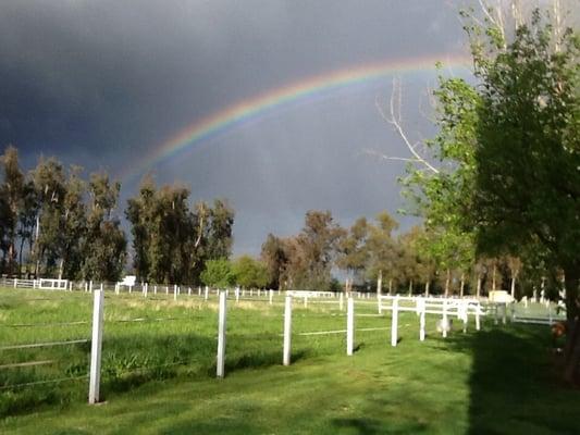 Flying Horse Farms