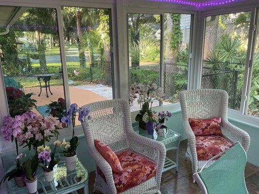 This is my sunroom where the beautiful windows were installed