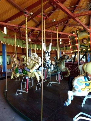 Carousel In the Park