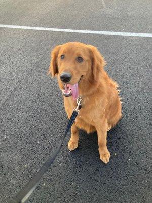 Looking handsome after his groom