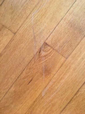 Part of my floor they scratched