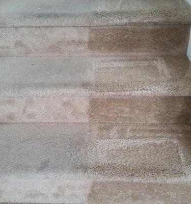 Assurred Carpet Cleaning