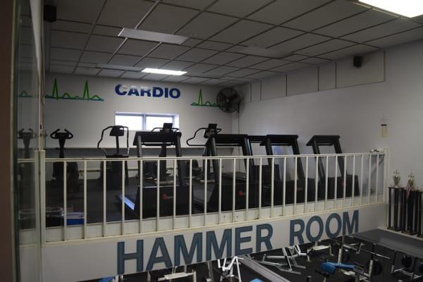 Lots of Cardio Equipment