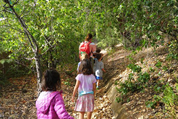 Preschoolers on a nature walk on our campus