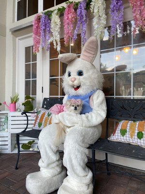 Easter bunny