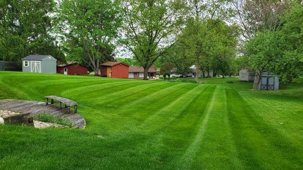 Lawn Maintenance