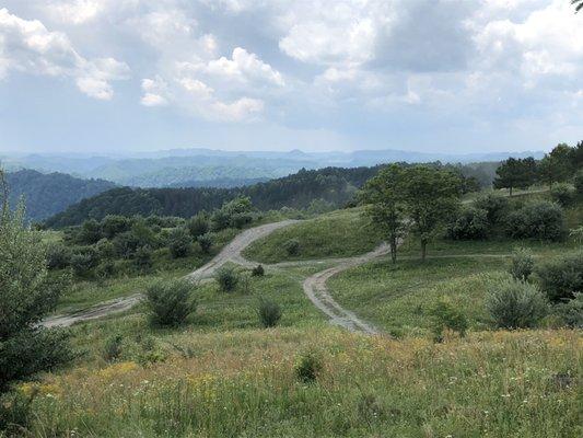 Trails to the horses.