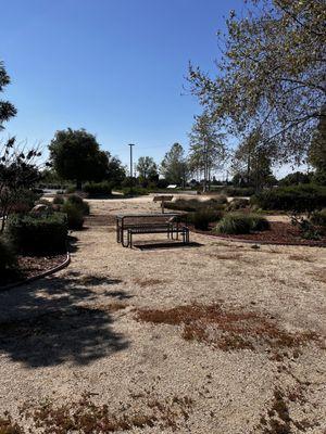 Picnic benches