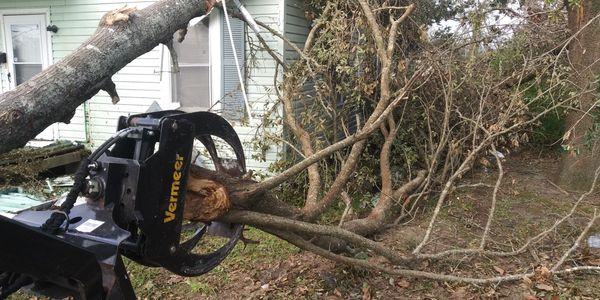 Removing a tree from a house