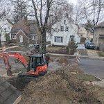 bushes totally covered by excavation job.