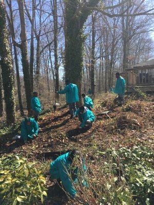 Poison Ivy removal crew in action!