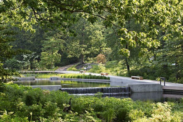 The Native Plant Garden at New York Botanic Garden (photo by Robert Benson)