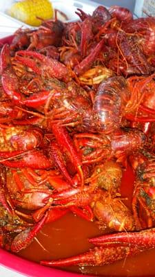 JUICY, SPICY crawfish.