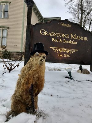 Celebrating Groundhog Day with Graestone Manors Bed and Breakfast resident prognosticator Gasport Gary!