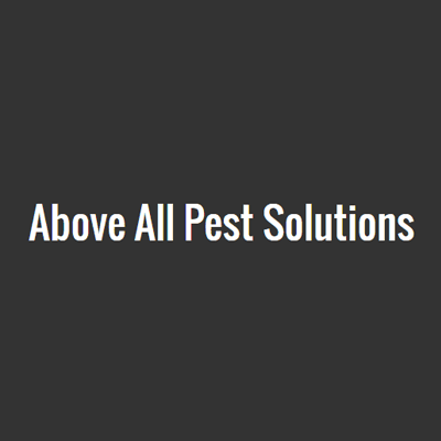 Pest Control Services