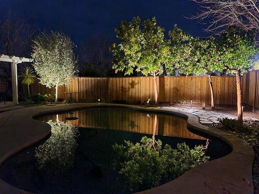 Professional lighting project we just completed! It totally transformed this beautiful backyard along with the flagstone patio.