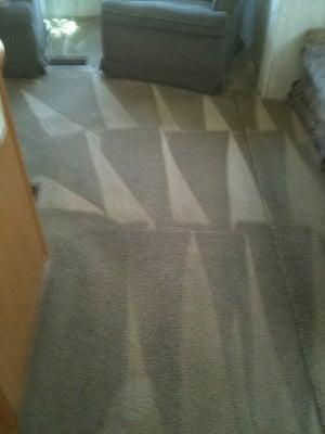 After Carpet Cleaning