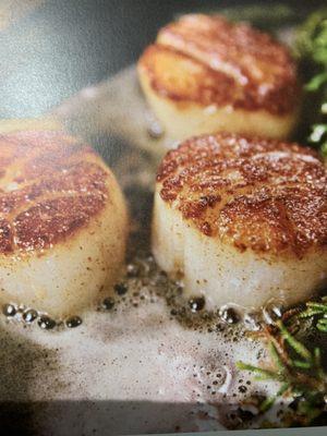 Fresh Day Boat Scallops