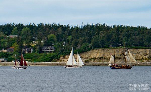 Suva sailing with the Lady Washington in Penn Cove.